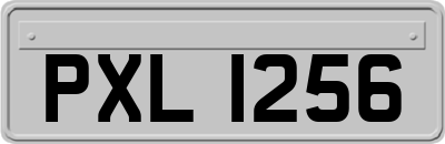 PXL1256