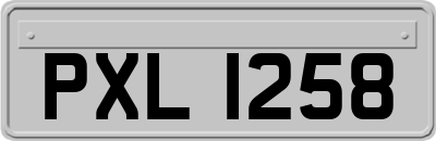 PXL1258