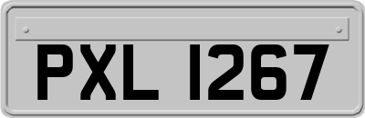 PXL1267