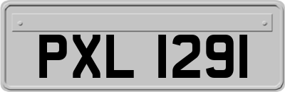 PXL1291