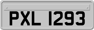 PXL1293