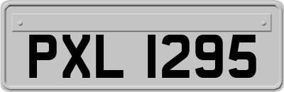 PXL1295