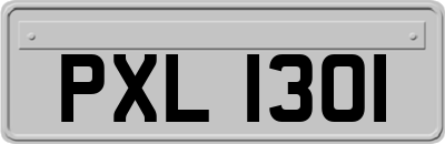 PXL1301