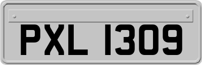 PXL1309