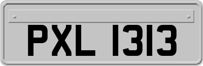 PXL1313