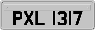 PXL1317