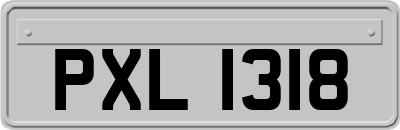 PXL1318