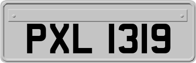 PXL1319