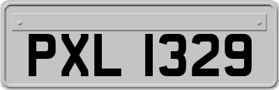 PXL1329