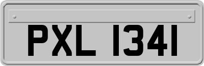 PXL1341