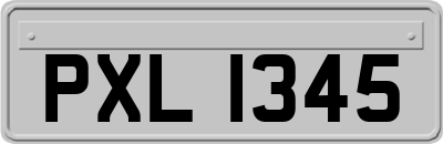 PXL1345