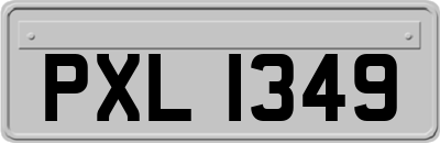 PXL1349