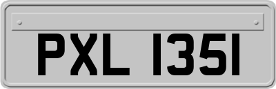 PXL1351