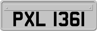 PXL1361