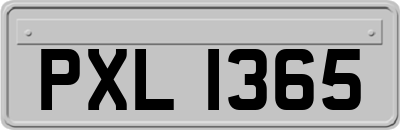 PXL1365