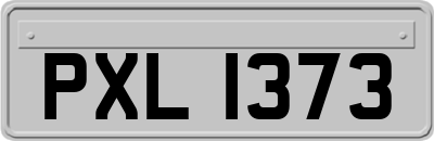 PXL1373