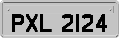 PXL2124