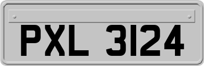 PXL3124