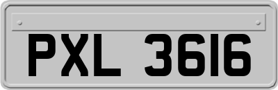 PXL3616