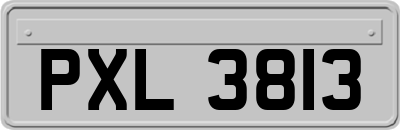 PXL3813