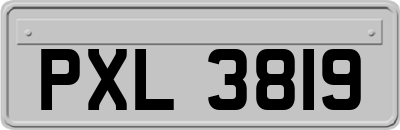 PXL3819