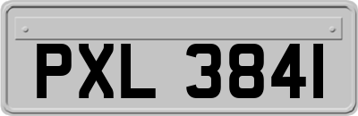 PXL3841