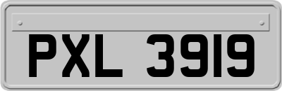 PXL3919