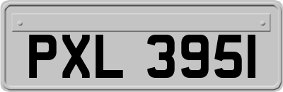 PXL3951