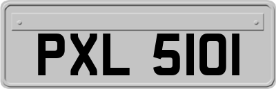 PXL5101