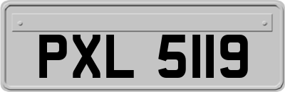 PXL5119