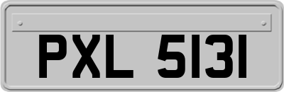 PXL5131