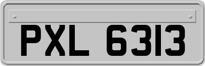 PXL6313