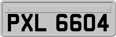 PXL6604