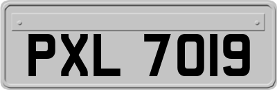 PXL7019