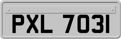 PXL7031