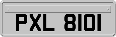 PXL8101