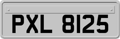 PXL8125