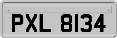 PXL8134