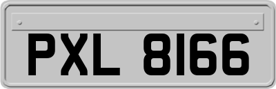 PXL8166