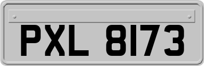 PXL8173