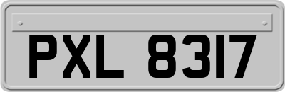 PXL8317