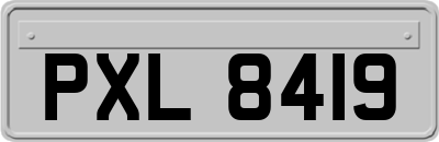 PXL8419