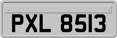 PXL8513