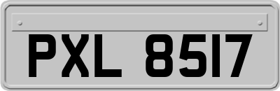 PXL8517