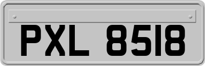 PXL8518