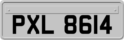 PXL8614