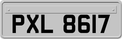 PXL8617