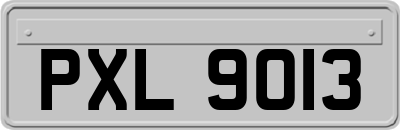 PXL9013