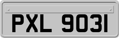 PXL9031