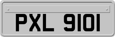 PXL9101